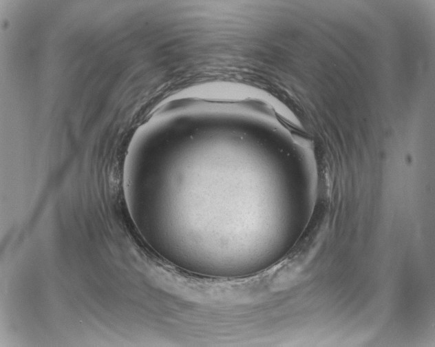 X0000068280040200604241244