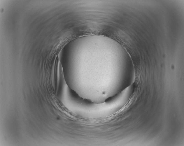 X0000068280045200604241244