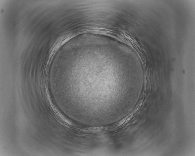 X0000068280049200604241243