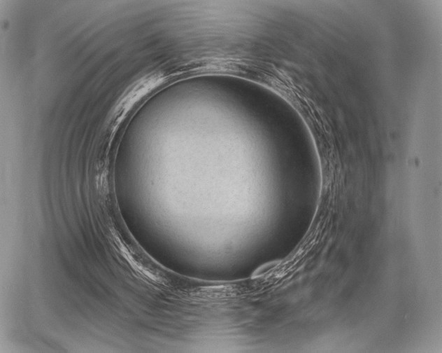 X0000068280050200604241243