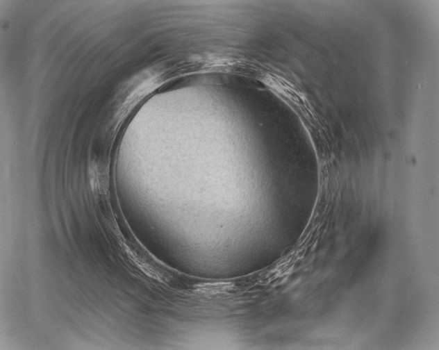 X0000068280051200604241243
