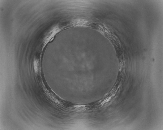 X0000068280052200604241243