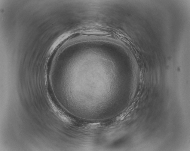 X0000068280054200604241243