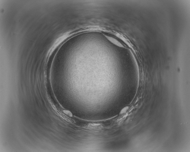 X0000068280055200604241243