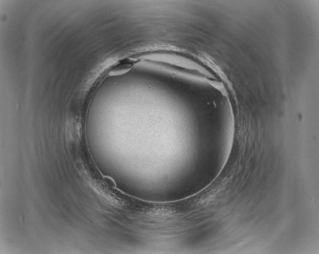 X0000068280063200604241243