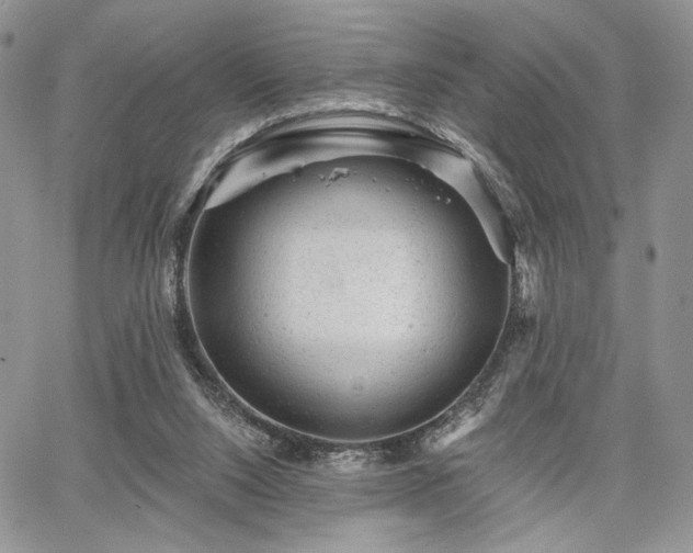 X0000068280064200604241243