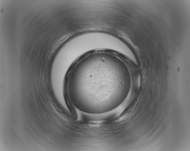 X0000068280068200604241244