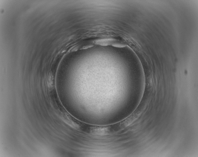 X0000068280081200604241244