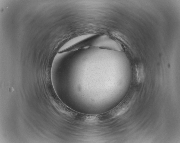 X0000068280088200604241244