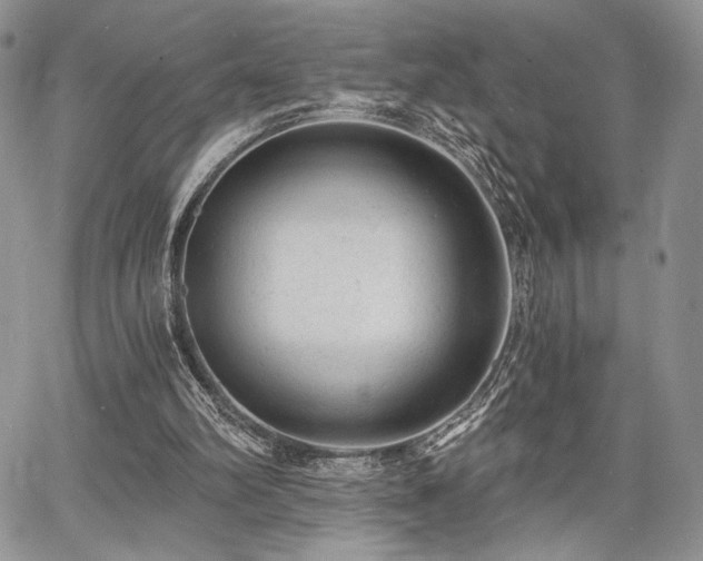 X0000068280102200604241243