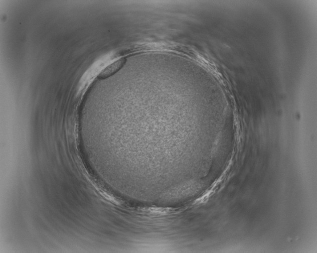 X0000068280103200604241243