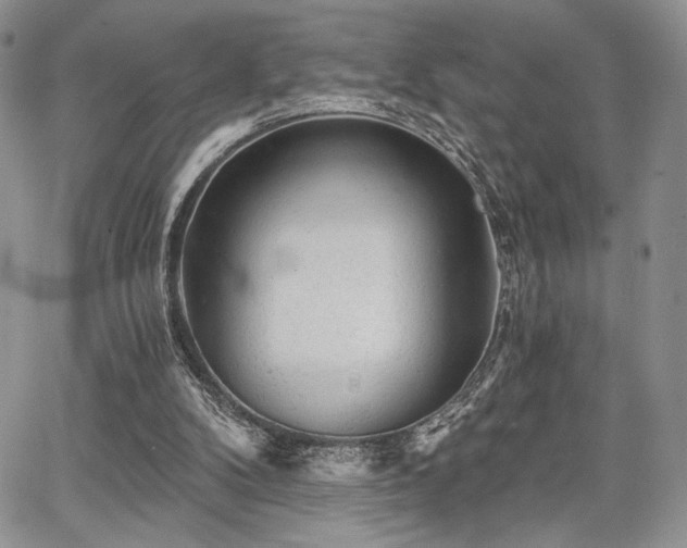 X0000068280104200604241243