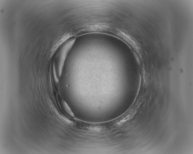 X0000068280105200604241243