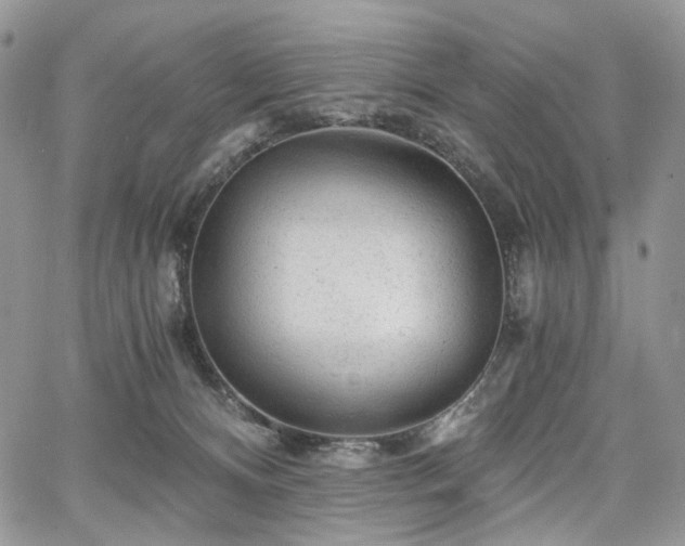 X0000068280128200604241243