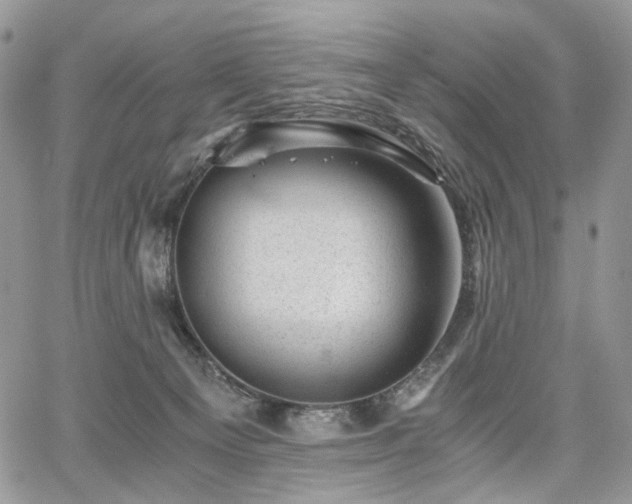 X0000068280129200604241243