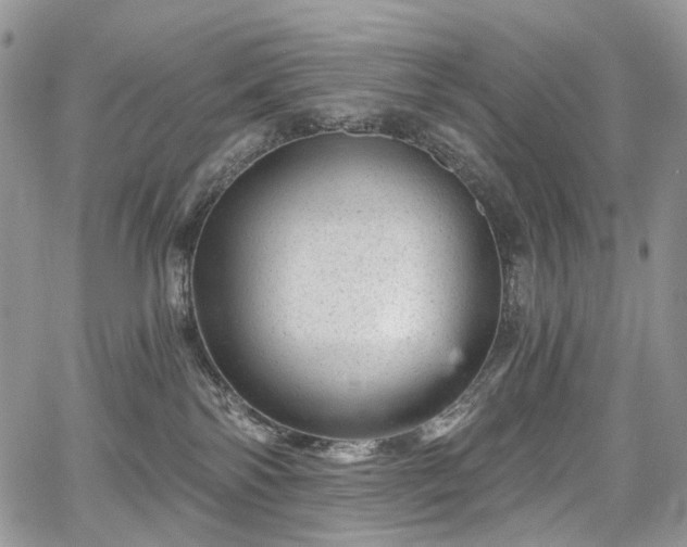 X0000068280138200604241242