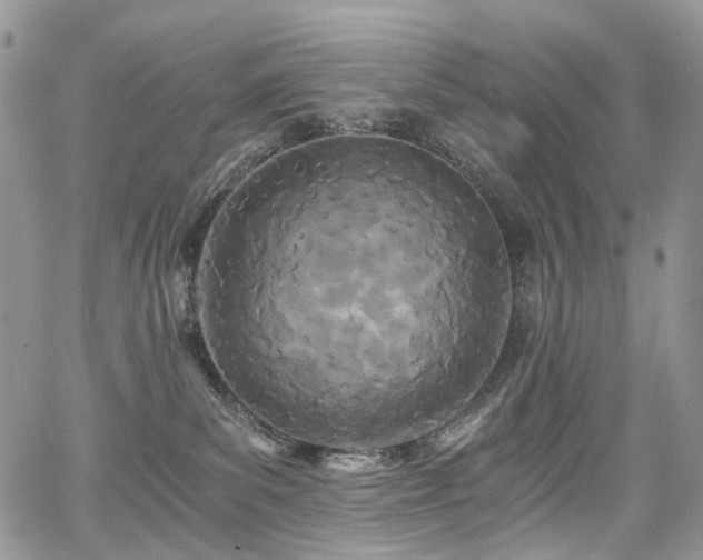 X0000068280139200604241242
