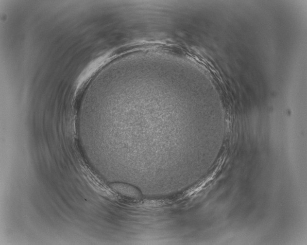 X0000068280149200604241242