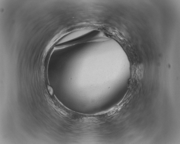X0000068280150200604241242
