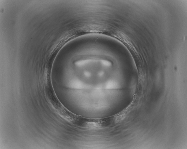 X0000068280167200604241242