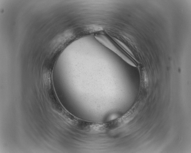 X0000068280172200604241242