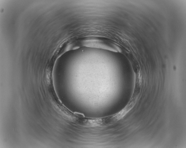 X0000068280188200604241242