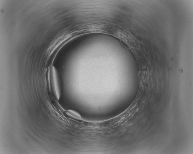 X0000068280194200604241242