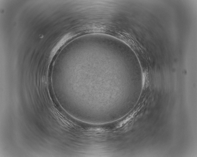 X0000068280195200604241241