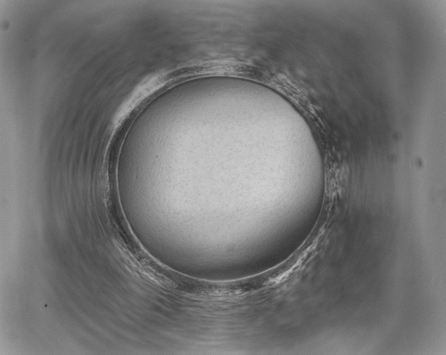 X0000068280198200604241241