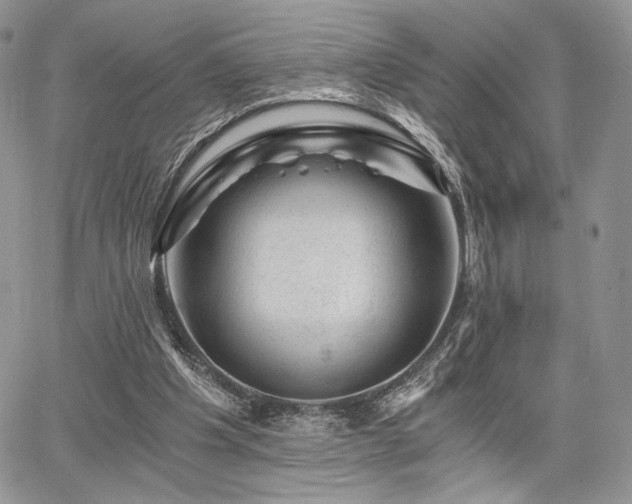 X0000068280201200604241241