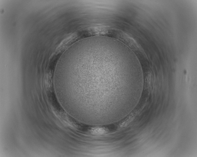 X0000068280218200604241241