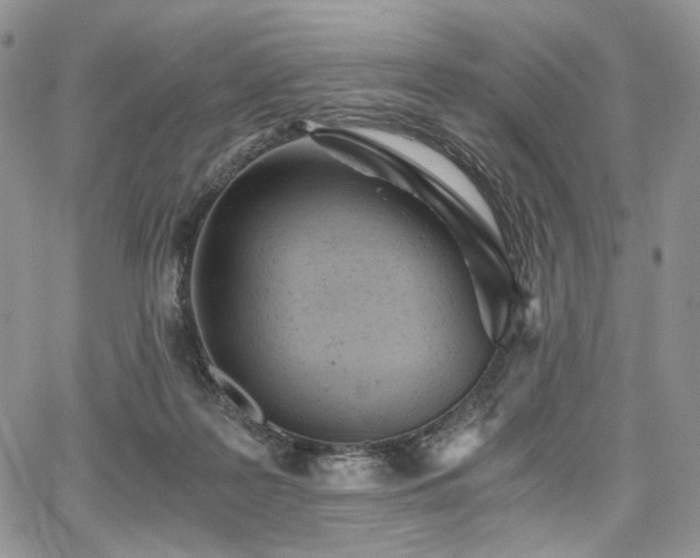 X0000068280219200604241241