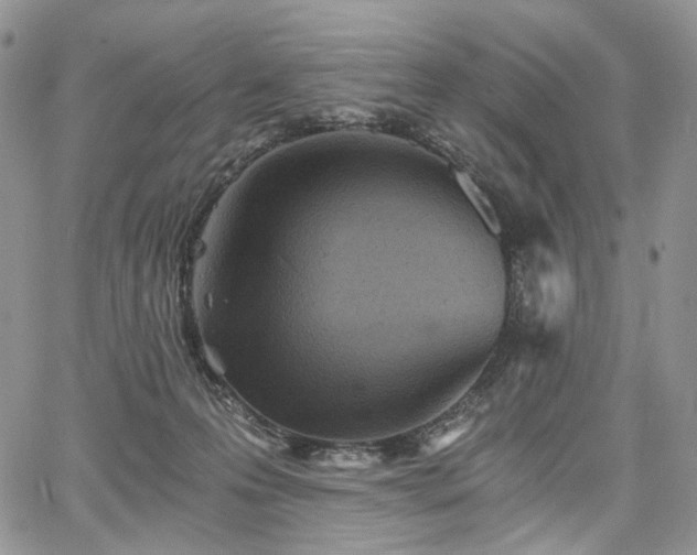 X0000068280223200604241241