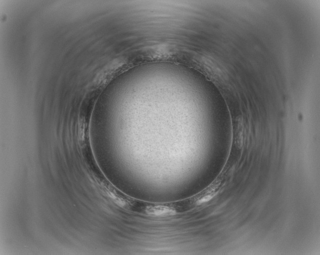 X0000068280230200604241241