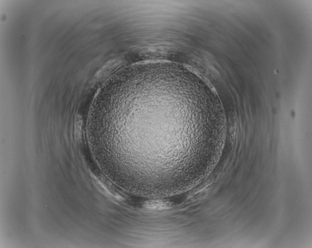 X0000068280231200604241241