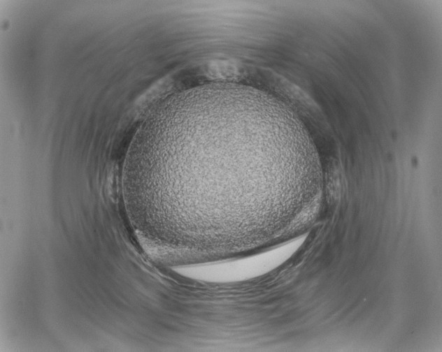 X0000068280233200604241241