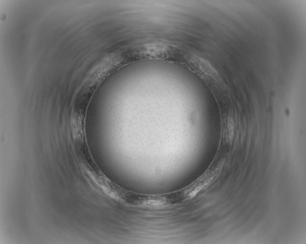 X0000068280236200604241241