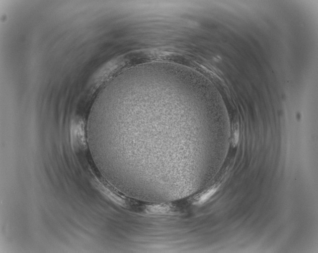 X0000068280238200604241241