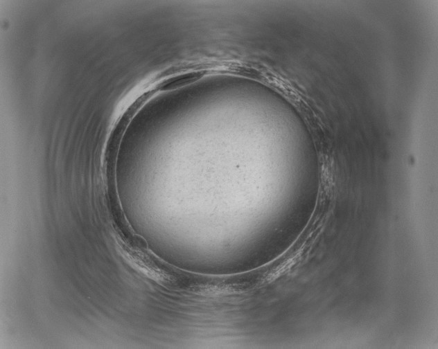 X0000068280246200604241240