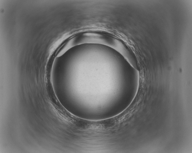 X0000068280248200604241240