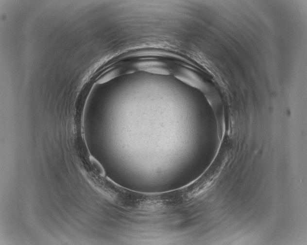 X0000068280252200604241240