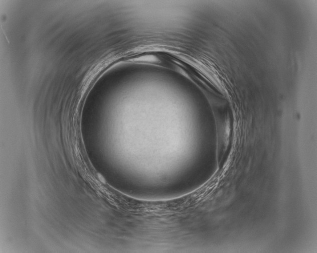 X0000068280289200604241240