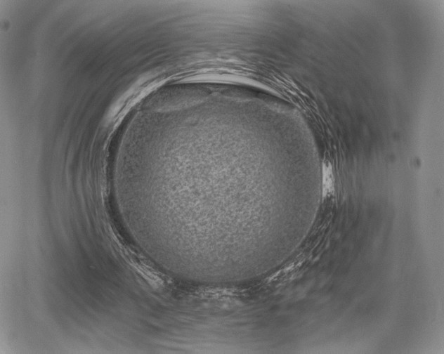 X0000068280291200604241240