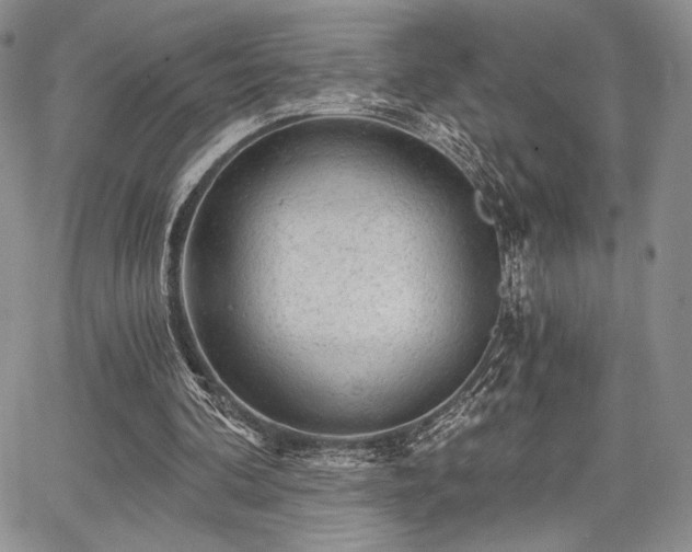 X0000068280292200604241240