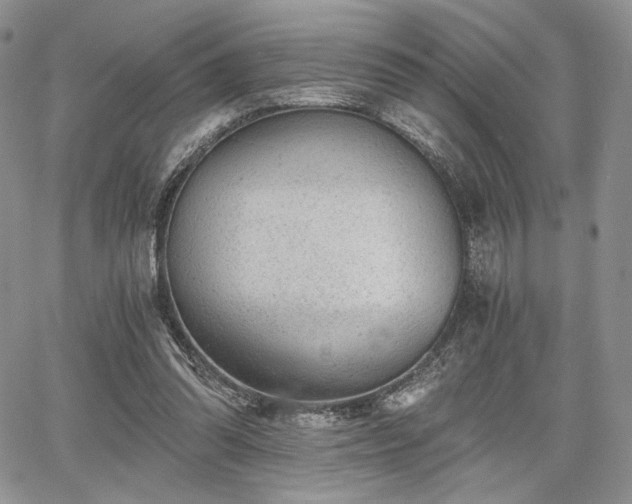 X0000068280302200604241240