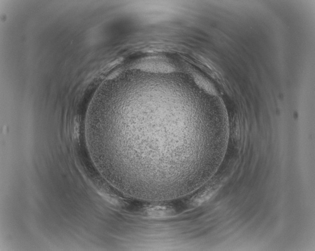 X0000068280315200604241239