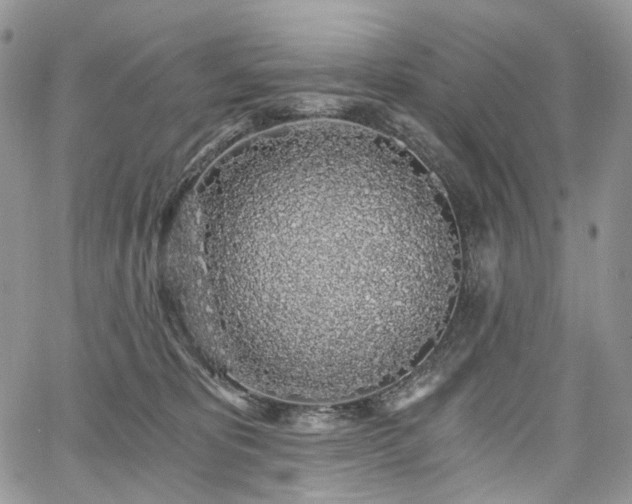 X0000068280325200604241239