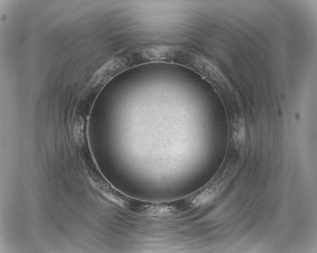 X0000068280332200604241239