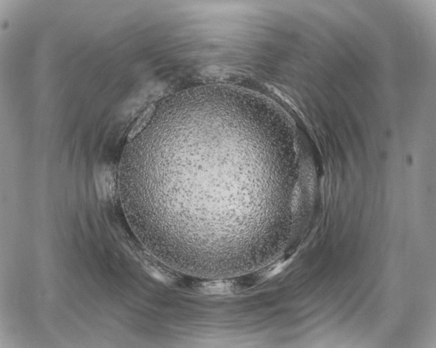 X0000068280335200604241239