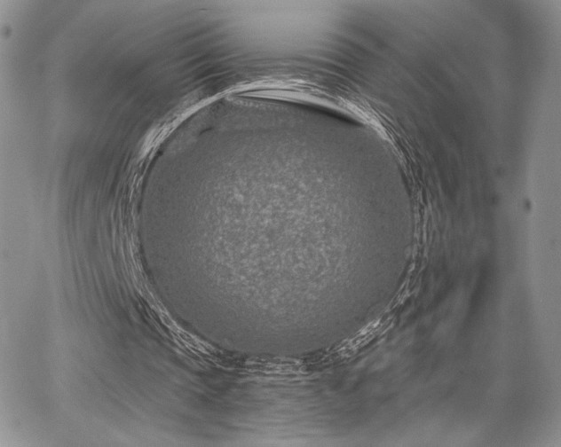 X0000068280337200604241238